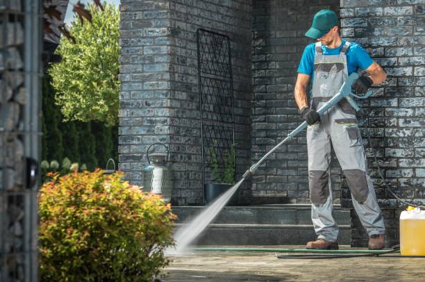 Best Gutter Cleaning and Brightening in Carter, TX