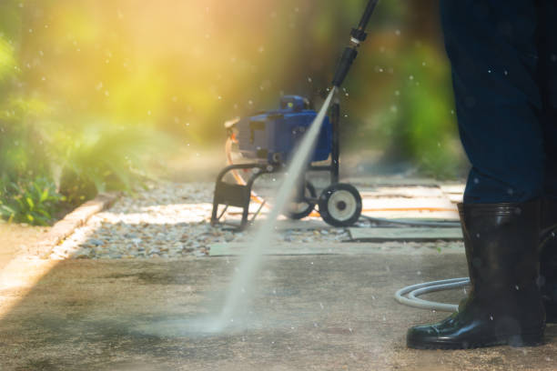 Best Brick and Stone Cleaning in Carter, TX
